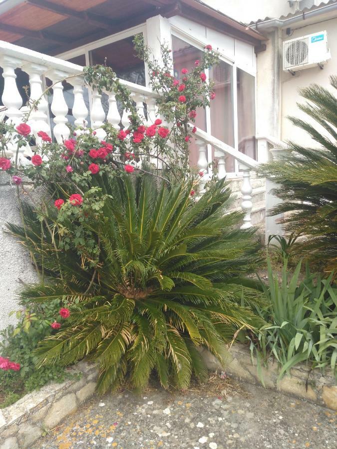 Apartments Ruza Dragove Dugi Otok 외부 사진